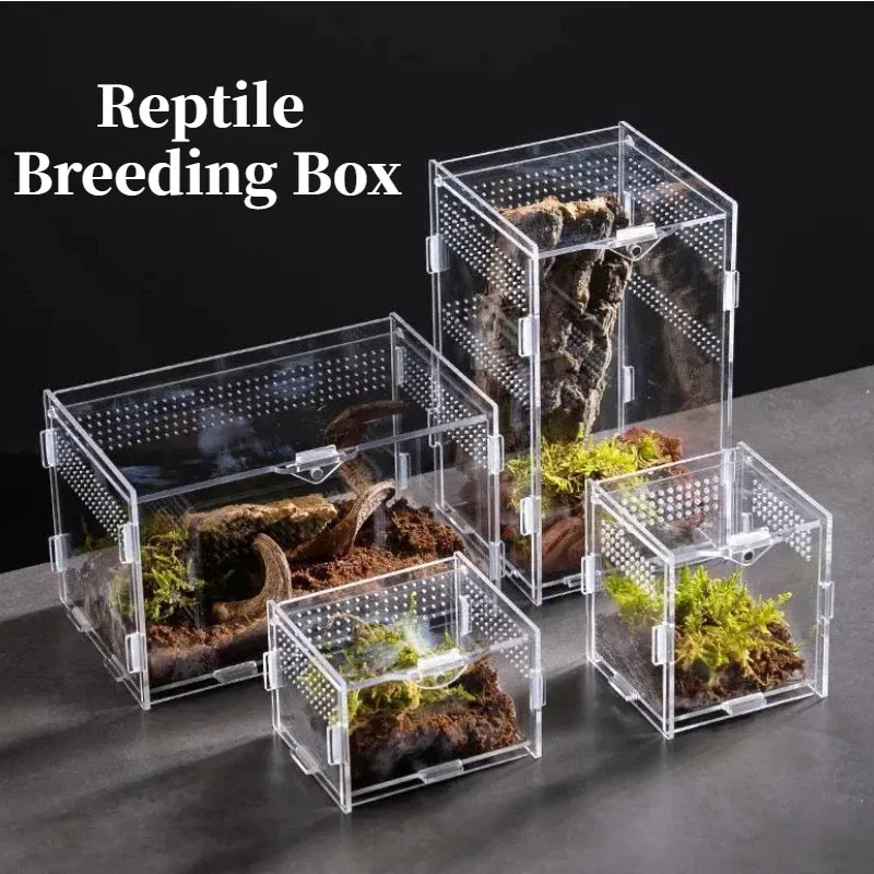 Acrylic Reptile Habitat Terrarium - Nano Arboreal Tarantula, Spider, Scorpion, and Bearded Dragon Breeding Enclosure